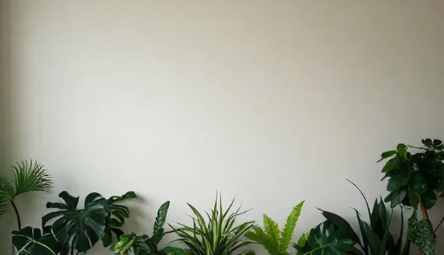 家政服务选型建议：误区与正确流程解析
